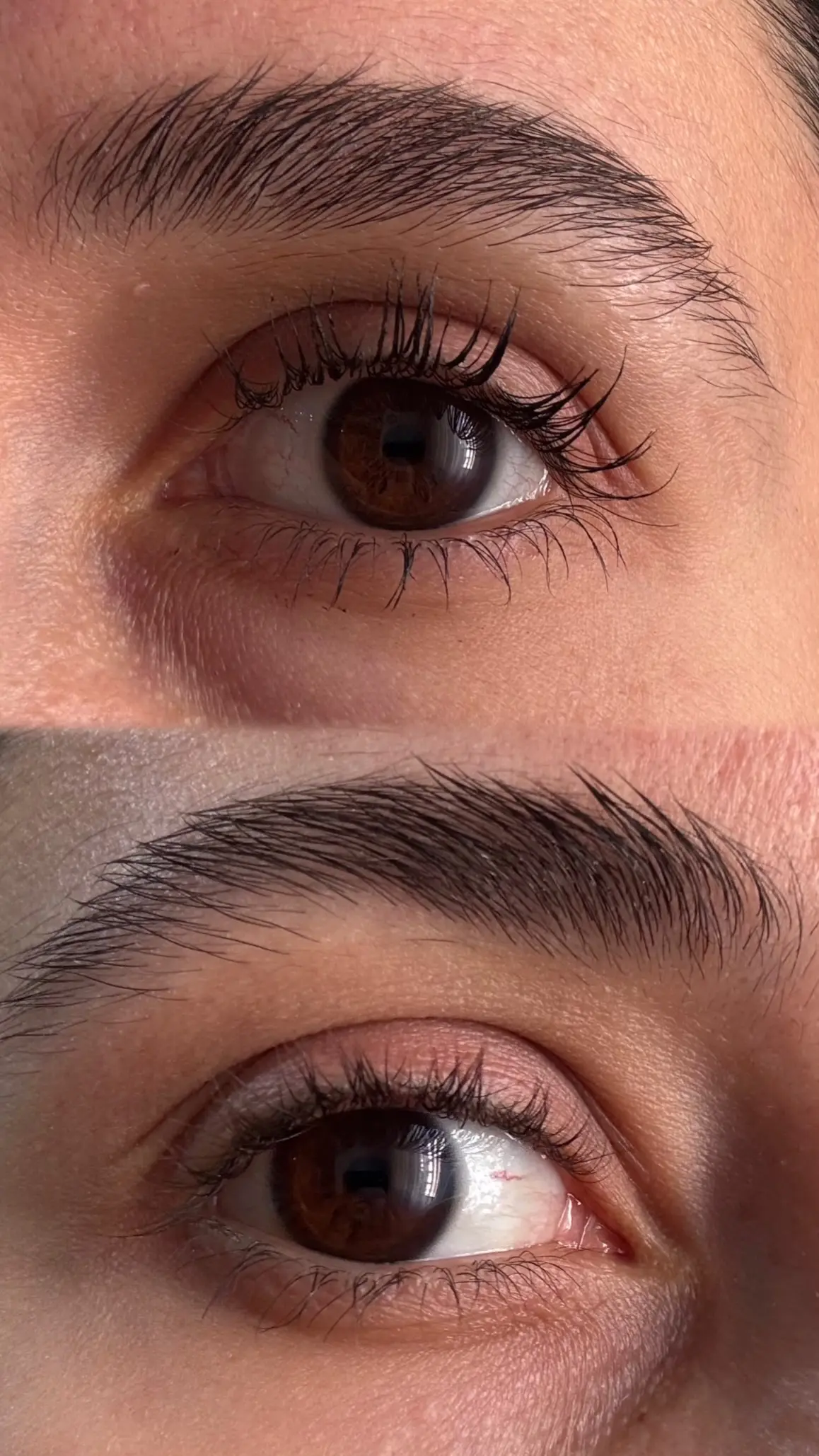 ریمل سوزنی gegebear